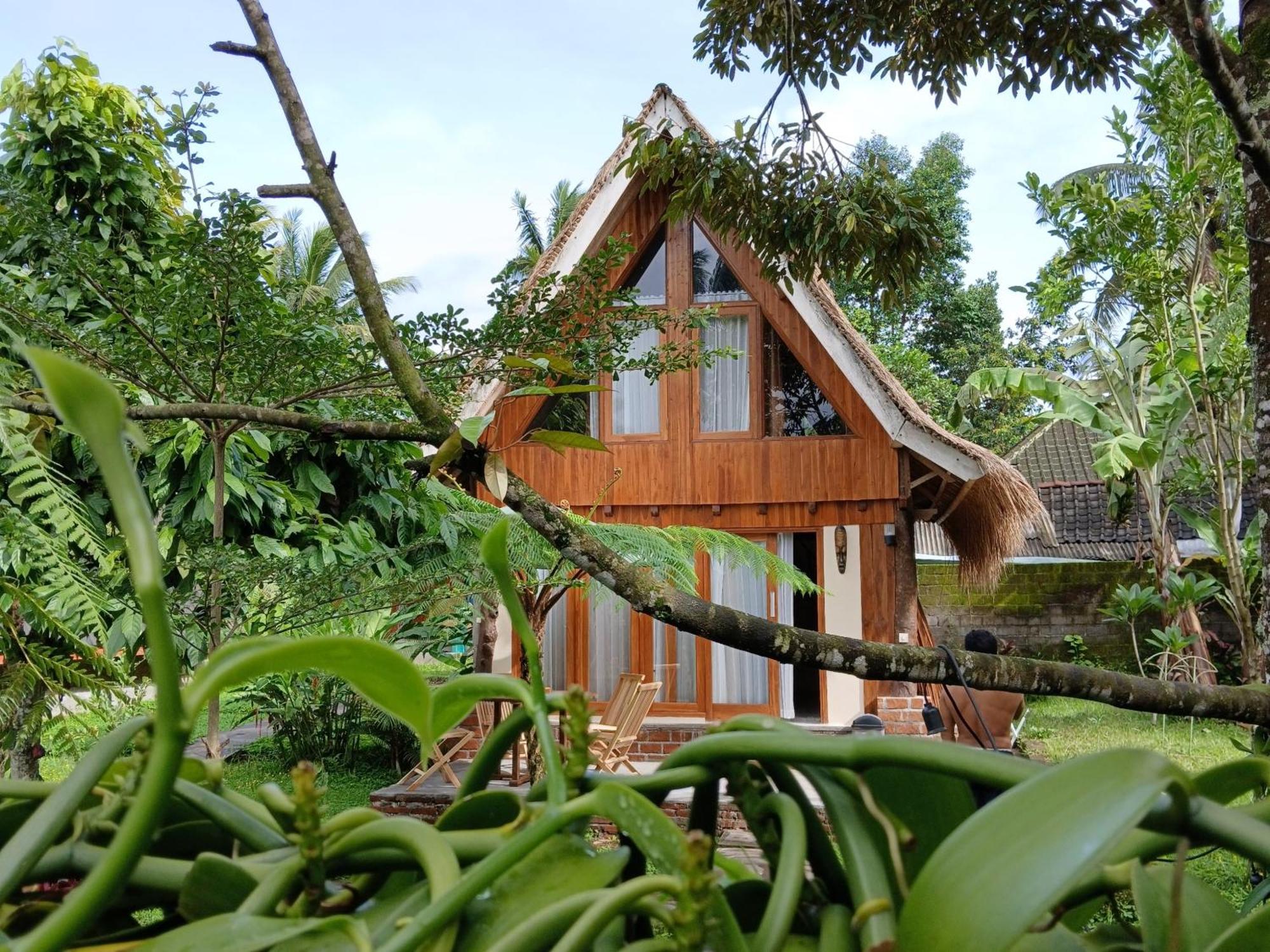 Green Haven Homestay Tetebatu Εξωτερικό φωτογραφία